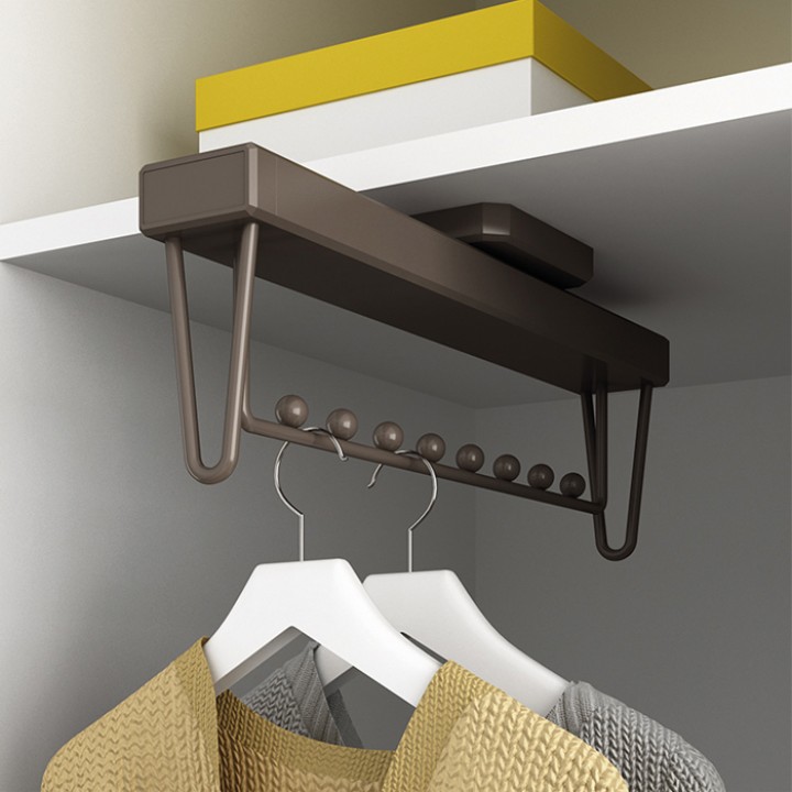 Pull-out hanging rail